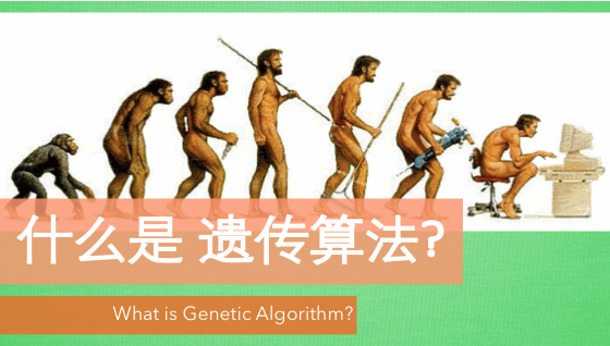 遗传算法 (Genetic Algorithm)